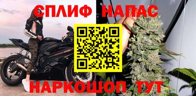 МДПВ Волгодонск